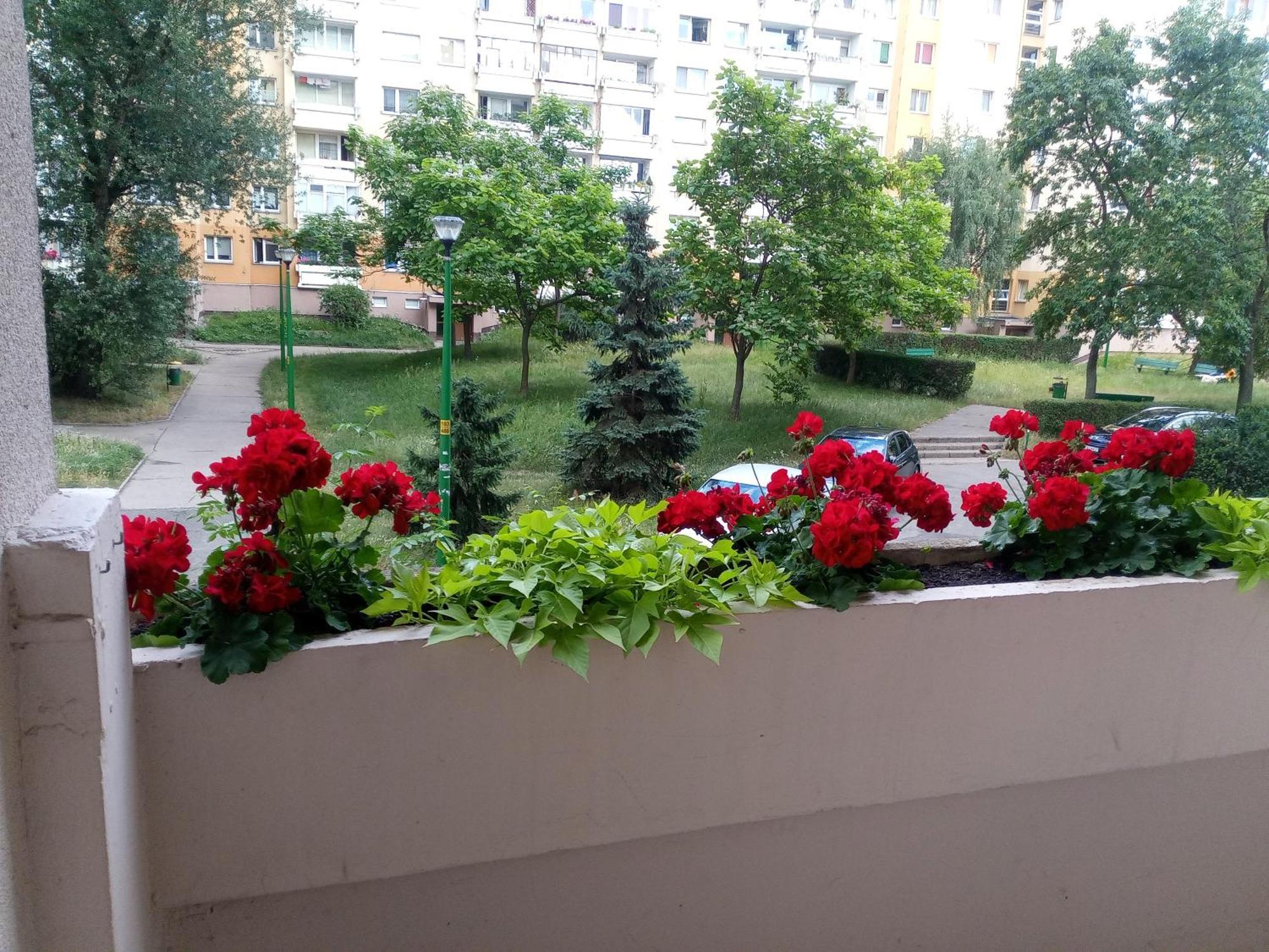 Astra Blisko Stadionu Breslau